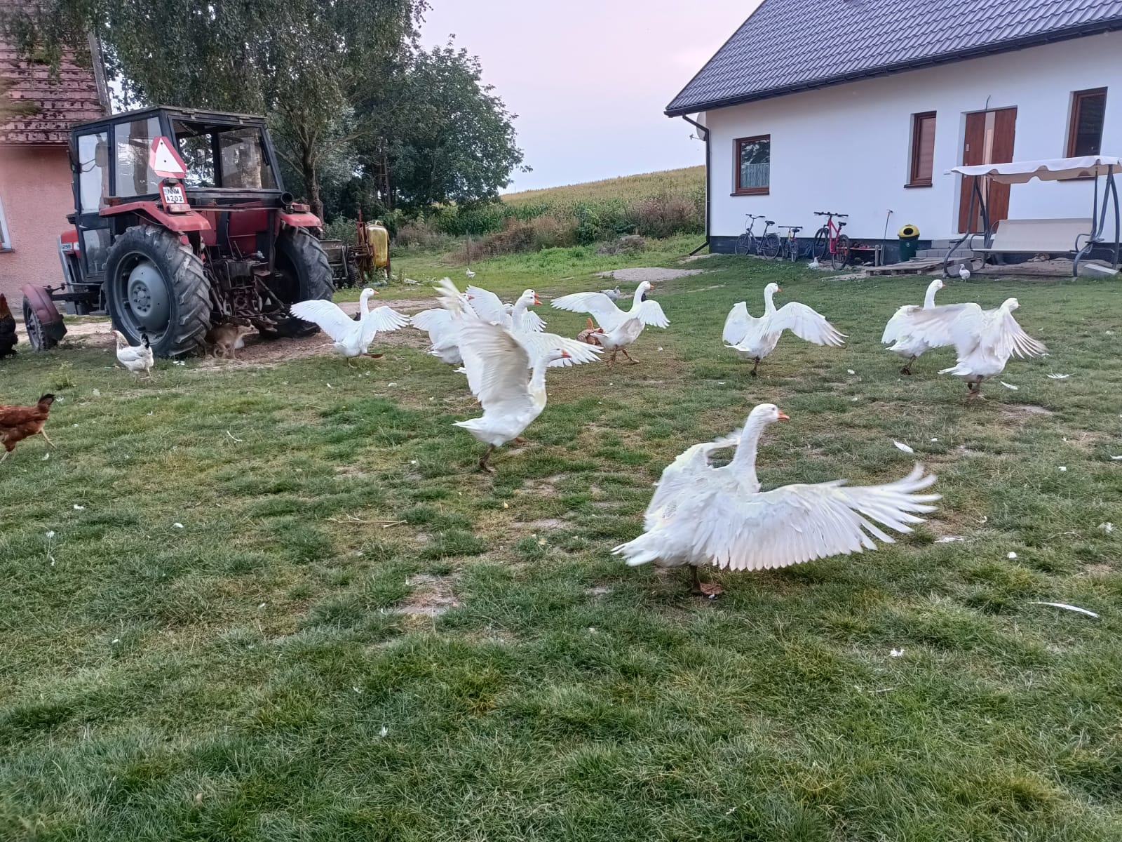 img 20240824 wa0009
